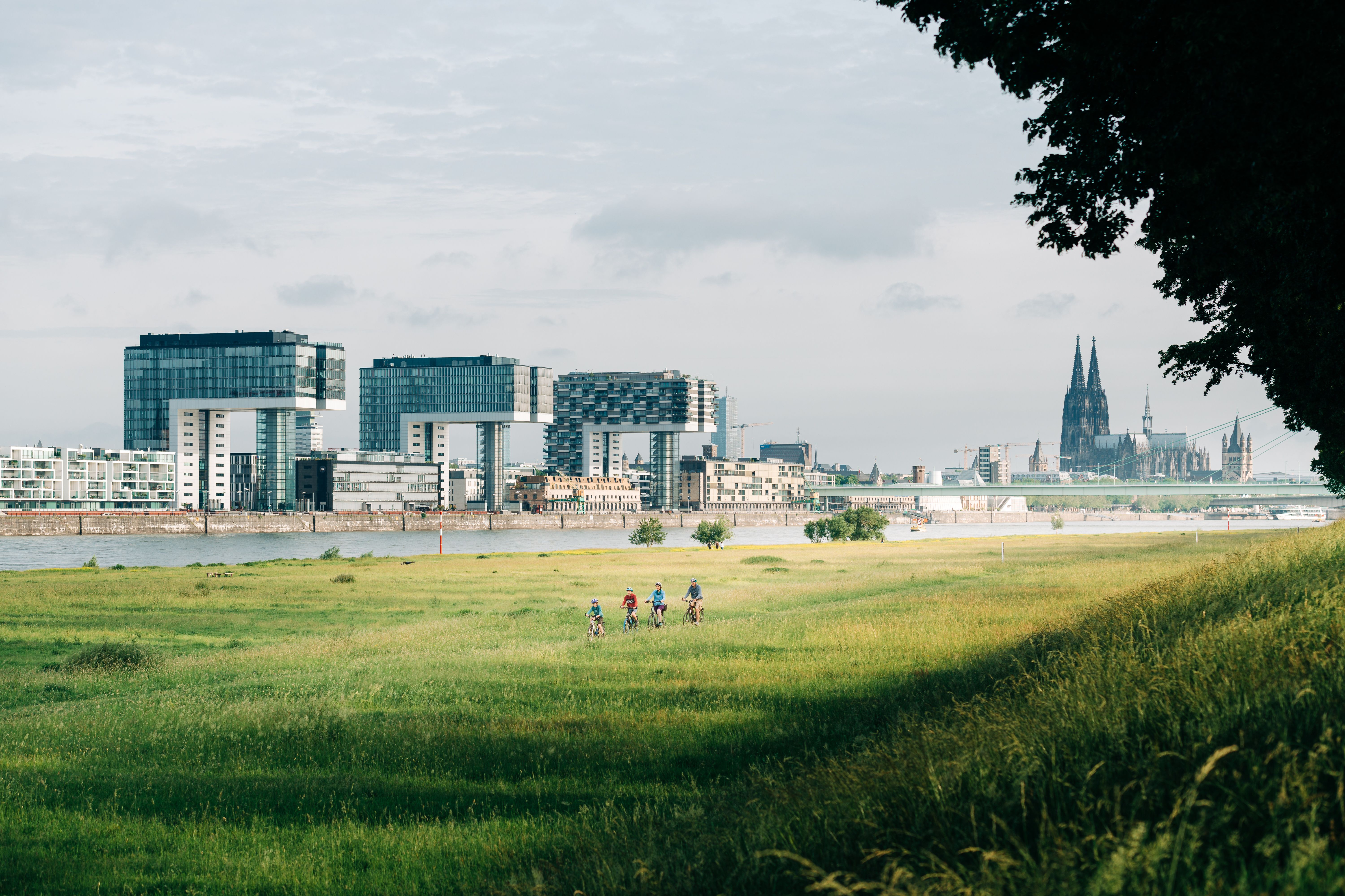 Fietsers op de paaltjesweide
