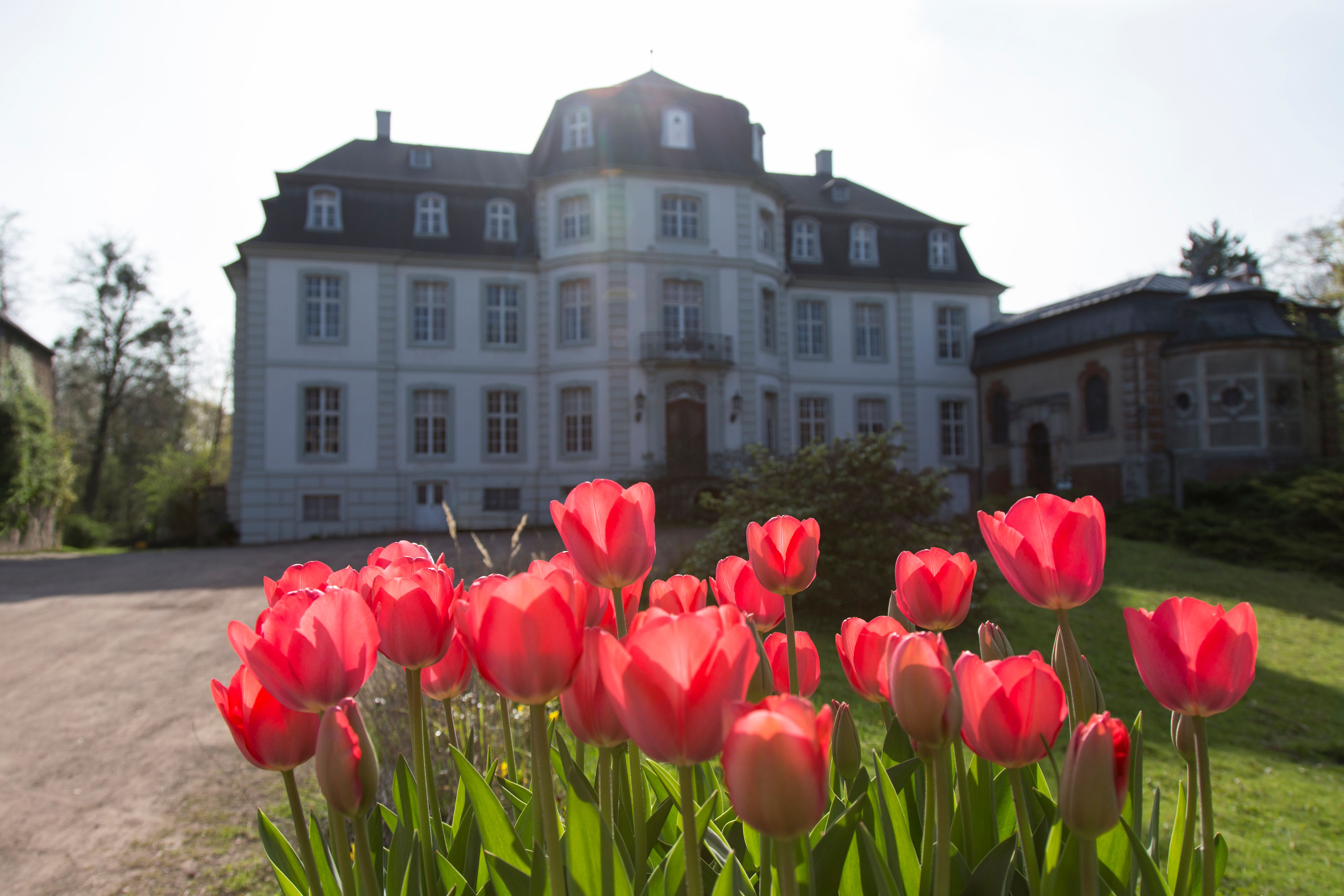 Vooraanzicht van kasteel Türnich