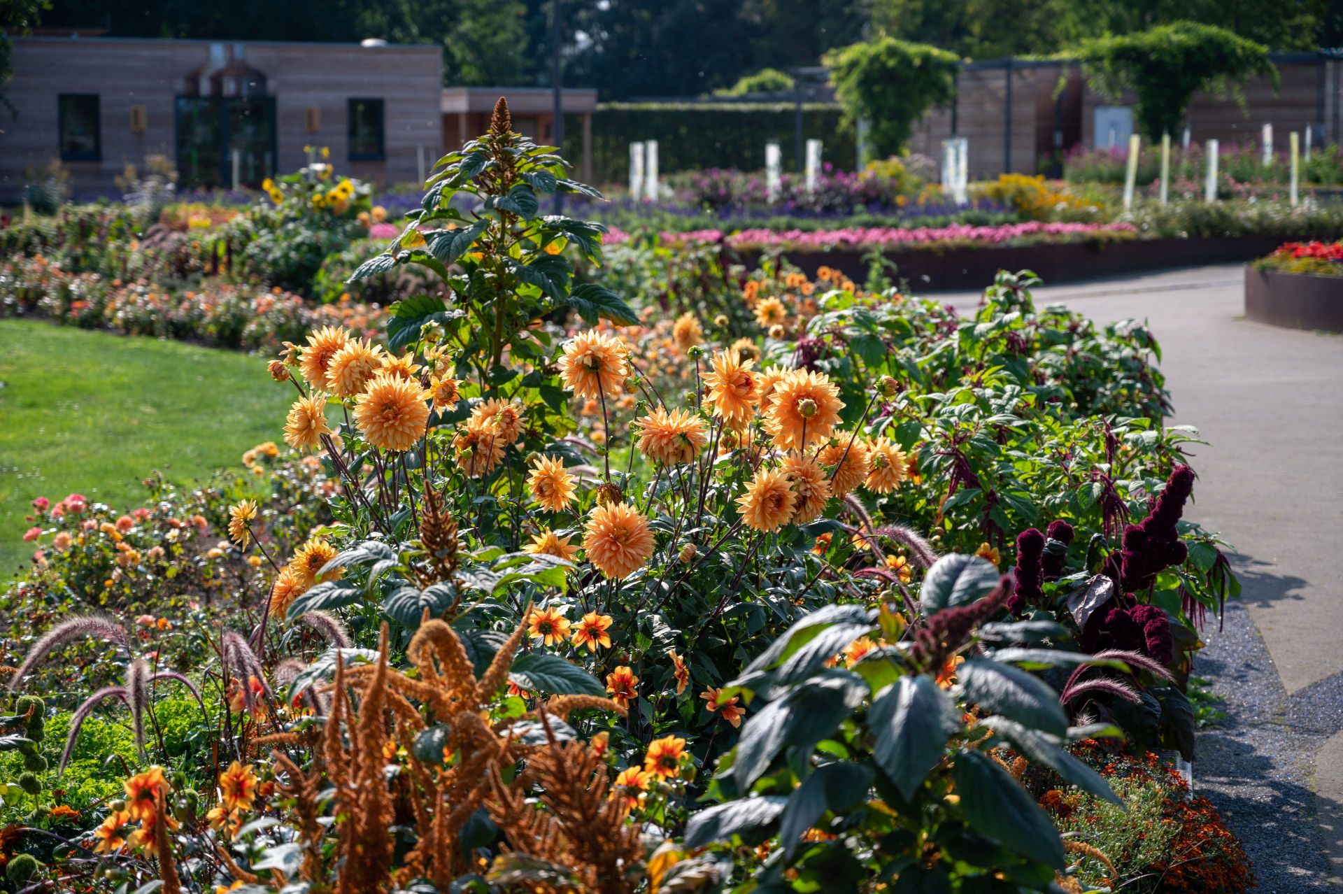 Het pad naar het Emsbräustübchen in het Rietberg Garden Show Park leidt langs ontelbare prachtige bloemen.