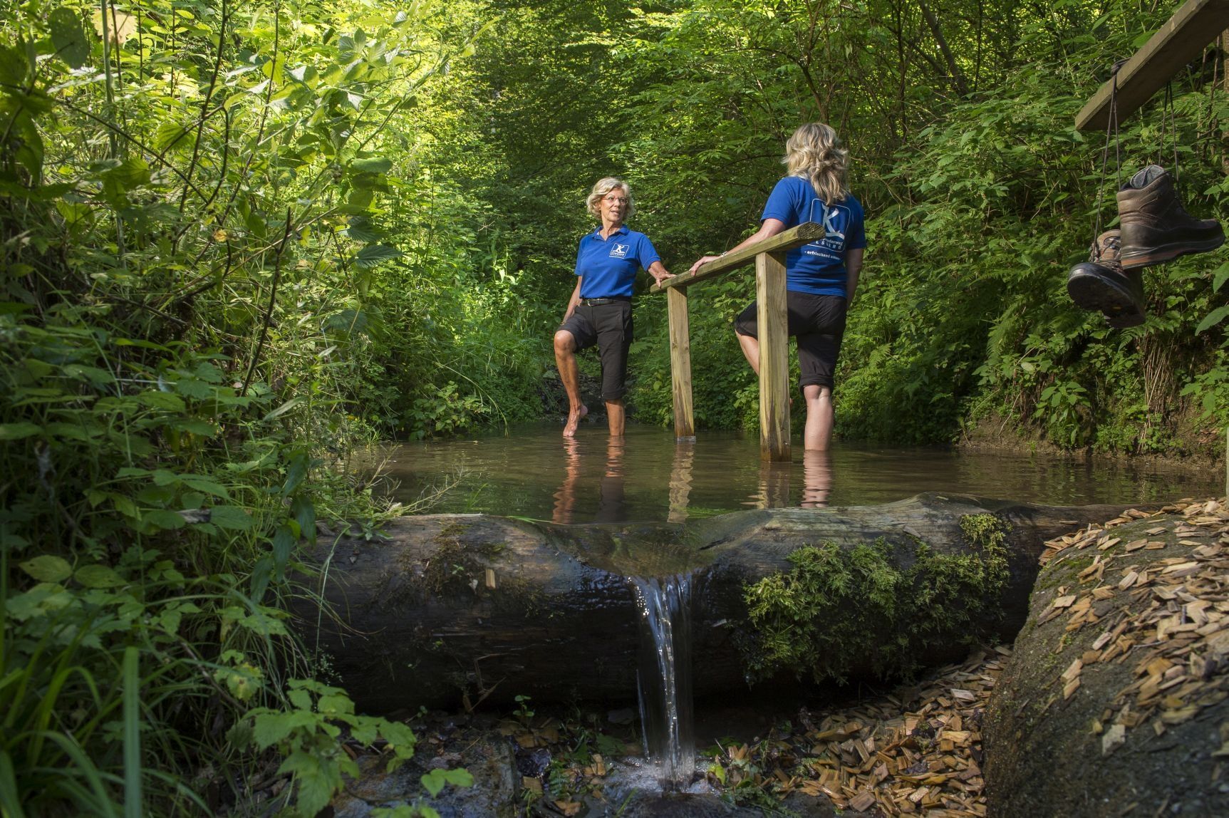 Papendiek loopgebied op het Kneipp pad