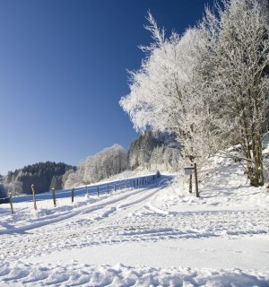 Schneelandschaft im Sauerland, © Sauerland Tourismus e.V.
