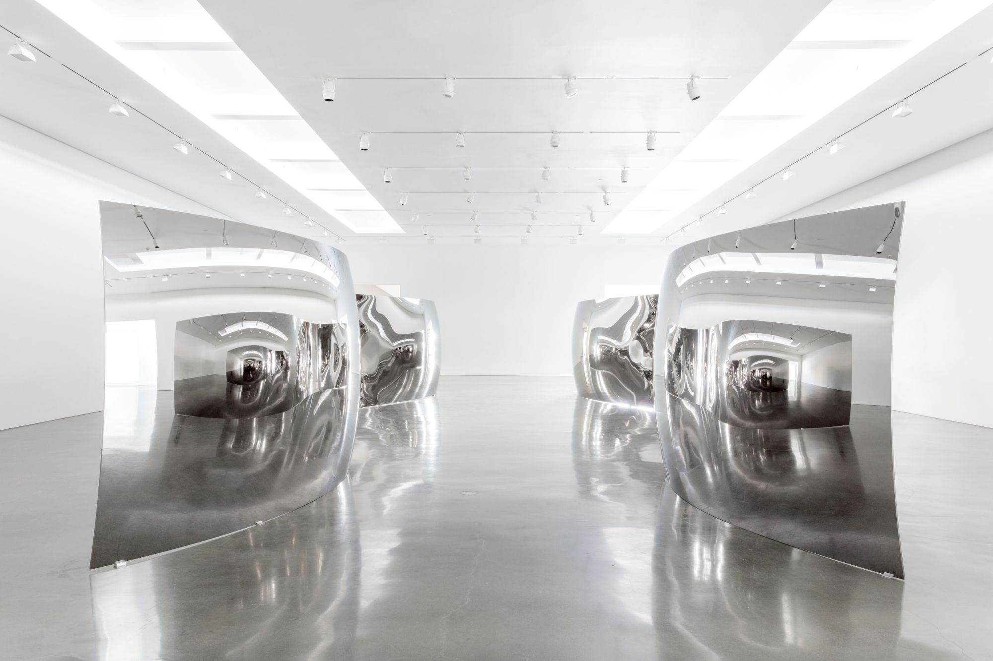 Naar pagina Anish Kapoor