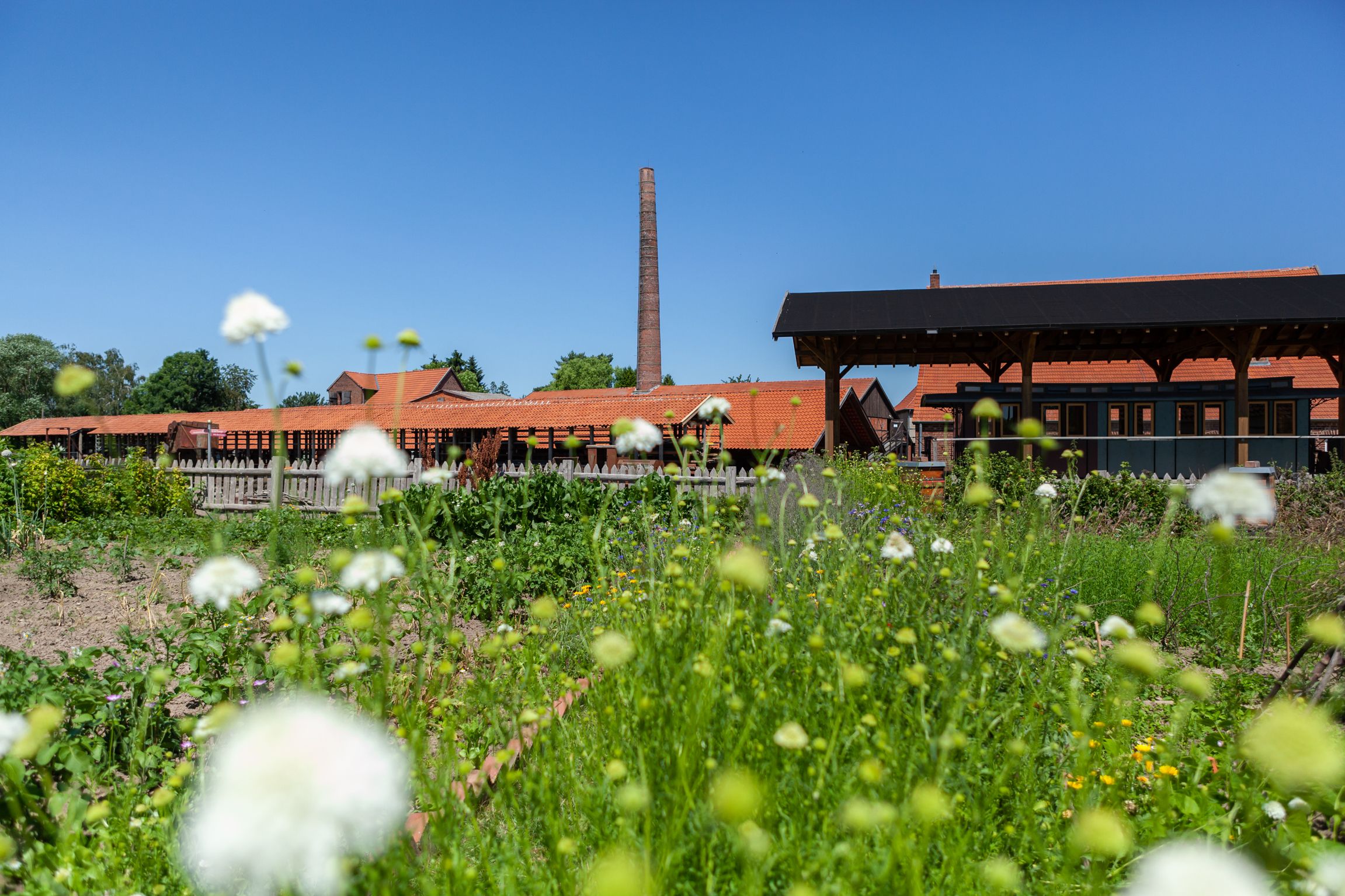 Buitenaanzicht van het LWL-Industriemuseum Ziegeleimuseum Lage met uitzicht op een bloemenweide