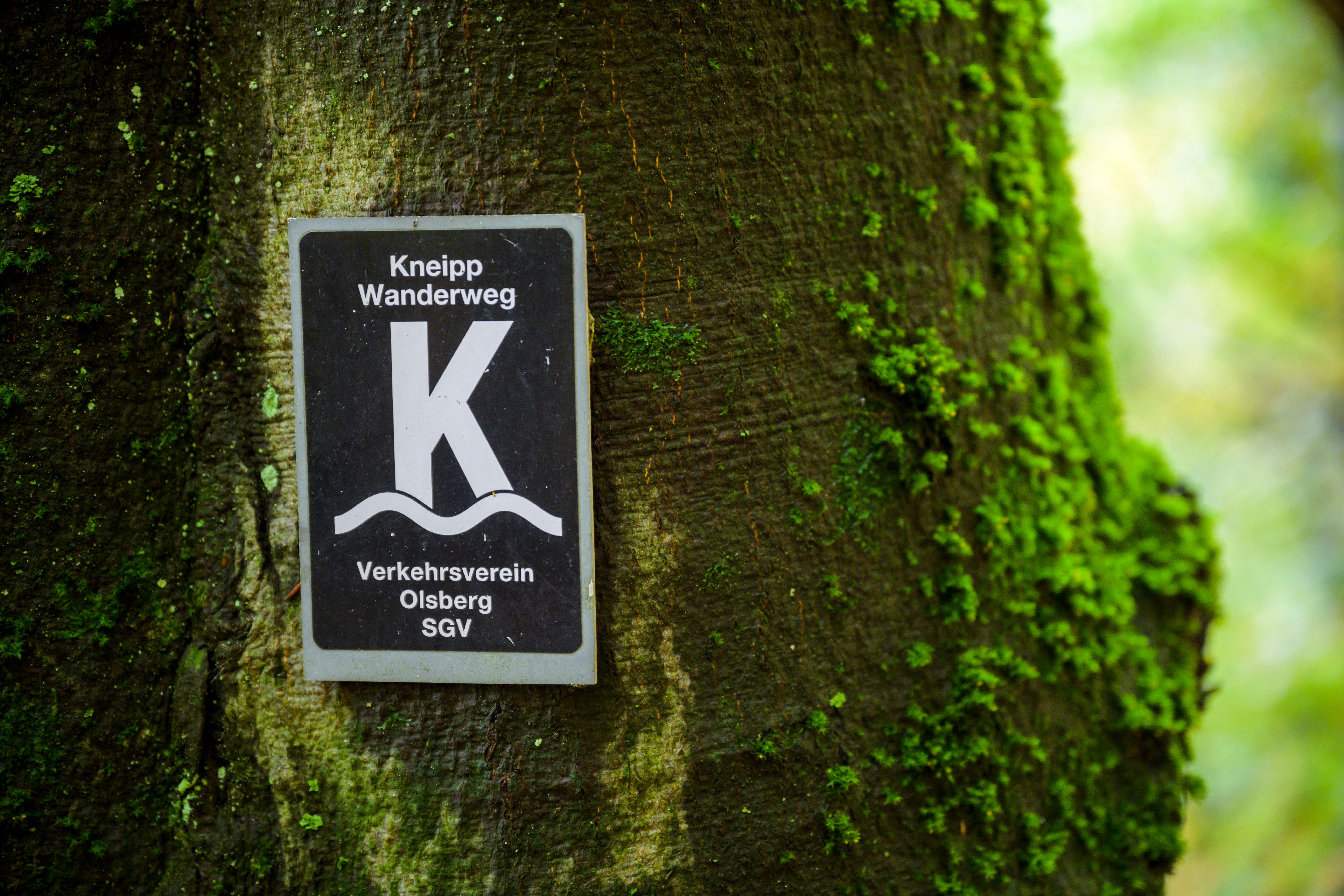 KPK974539.jpg kappest