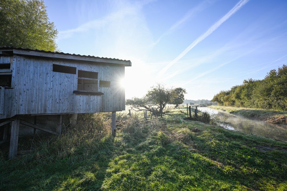 Natuurreservaat Rieselfelder