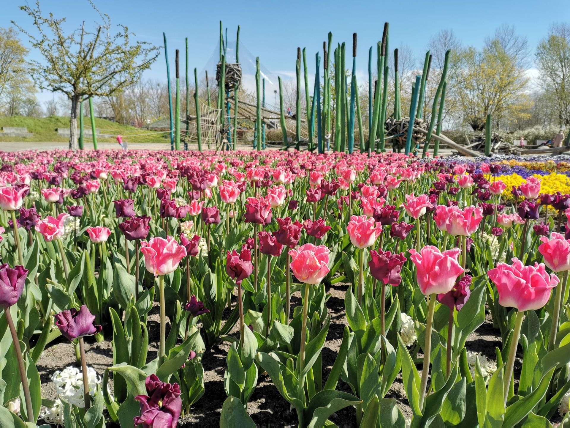De klimspeelplaats Schilfwald ligt bij de middelste ingang van het park. Het is omgeven door prachtige bloemperken