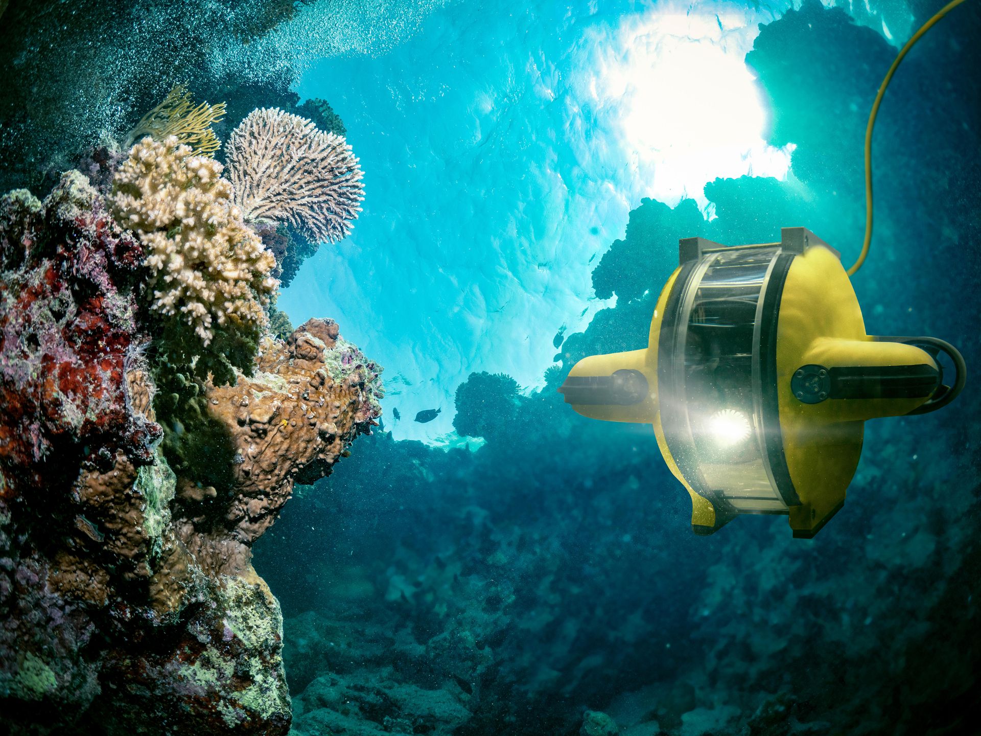Onderwaterrobot verkent de diepzee