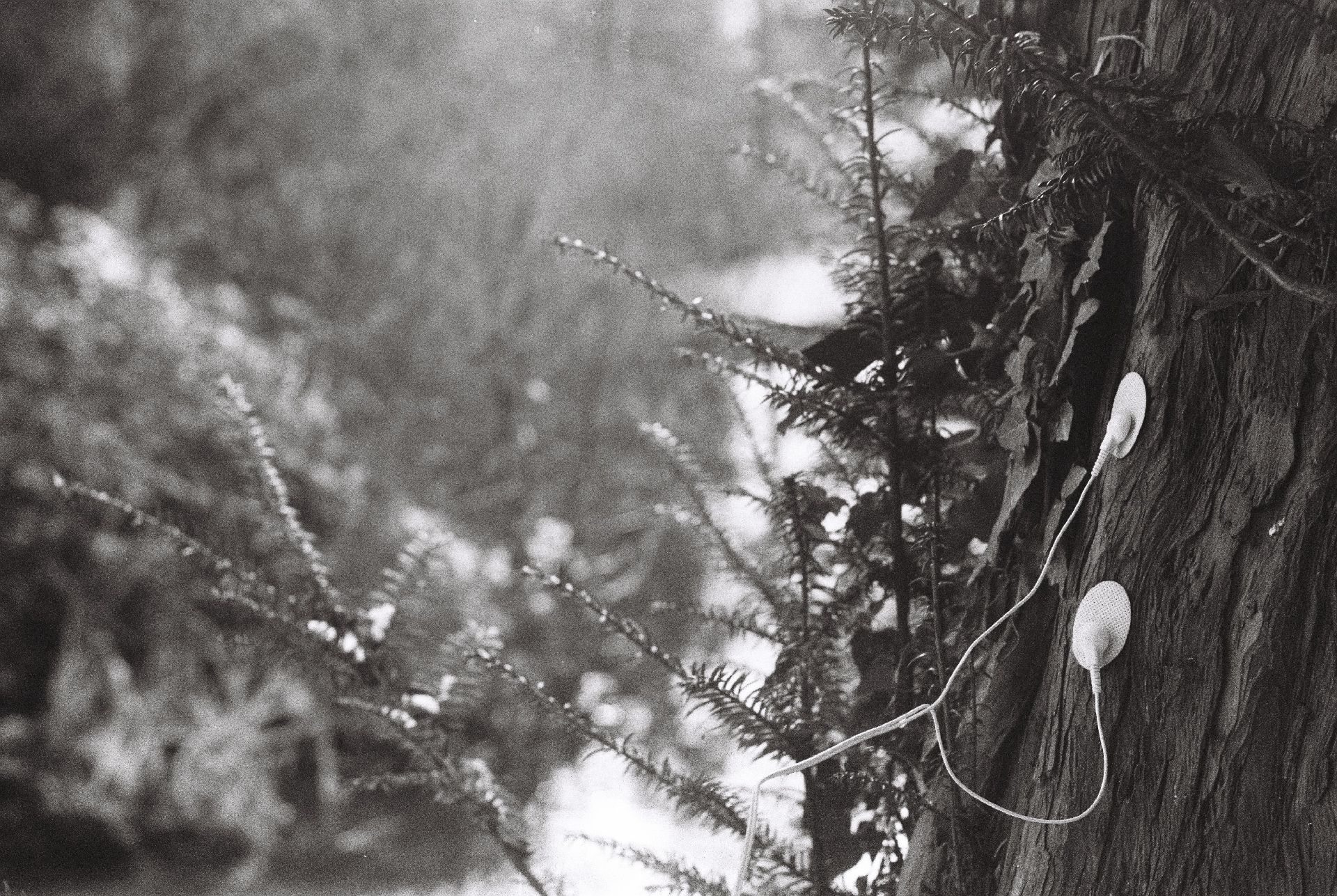 Naar pagina Geketend aan het ritme. Van mens en natuur