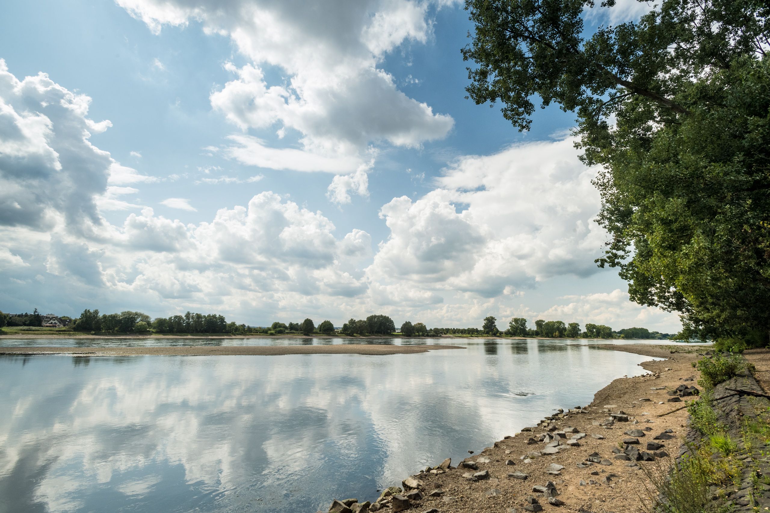 Rijnfietspad Am Ufer