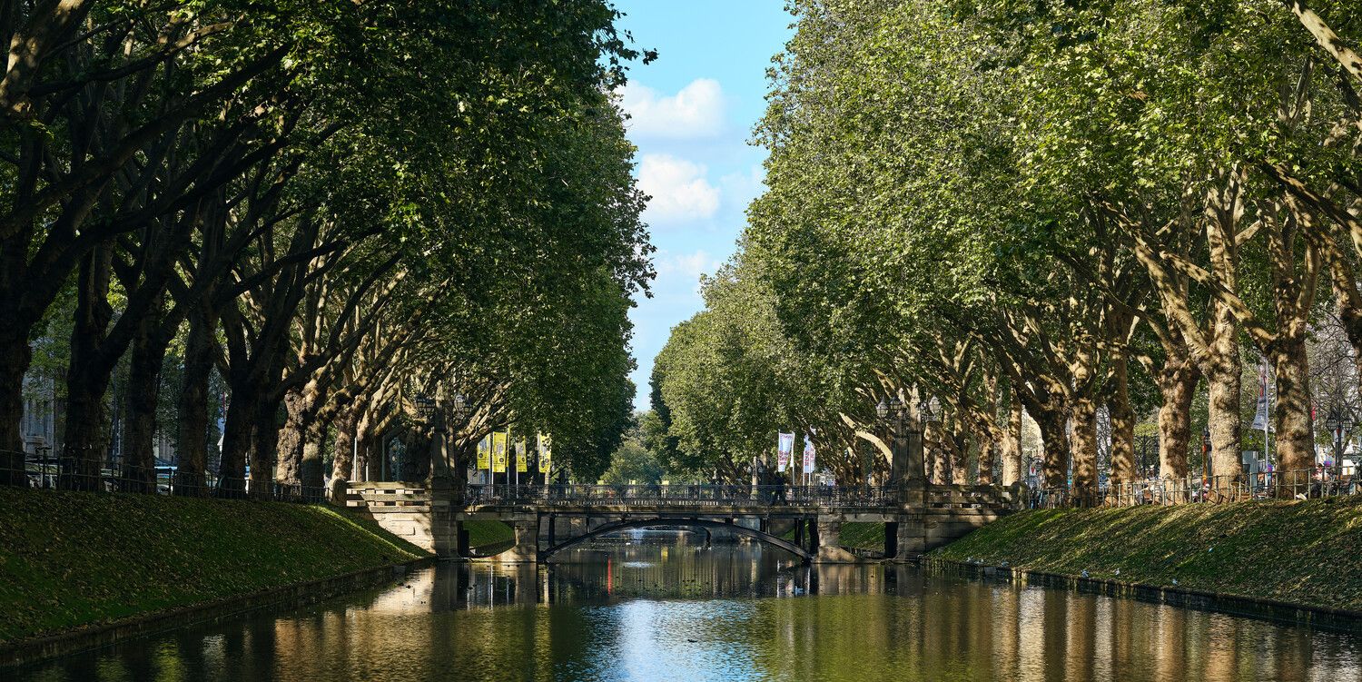 Naar pagina De Königsallee 