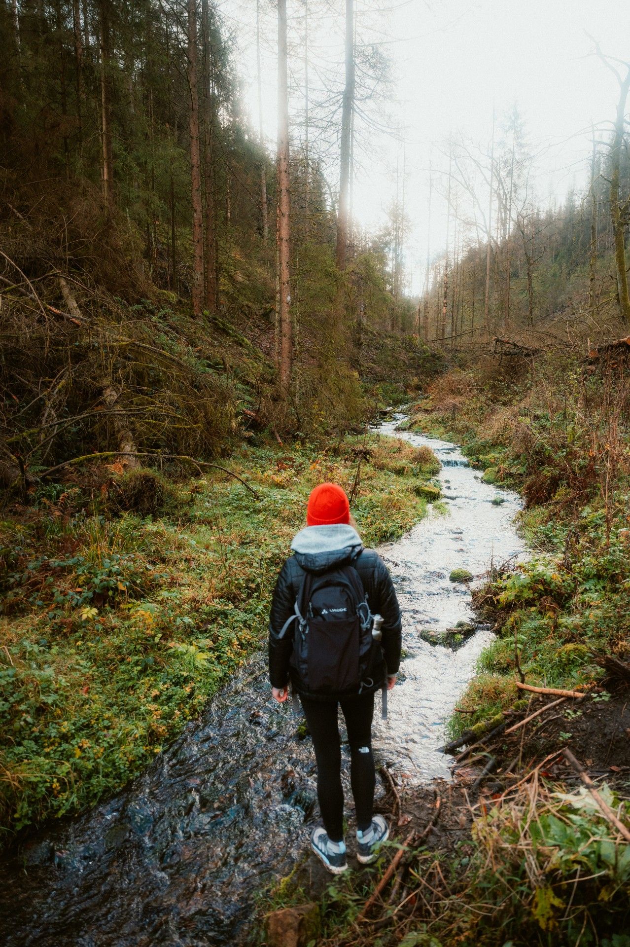 Silberbachtal, Teutoburgerwoud