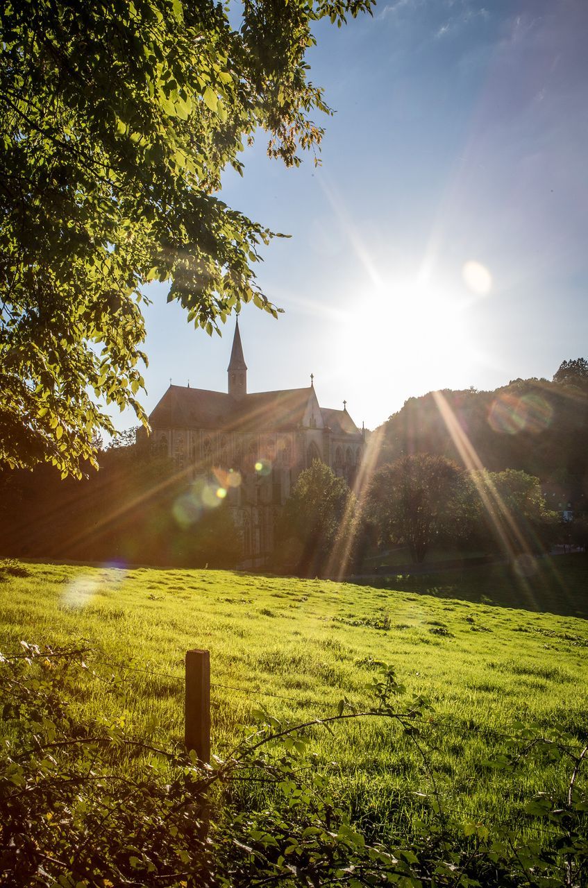 Blick über eine Wiese auf den Altenberger Dom mit Sonne über seinen Dächern