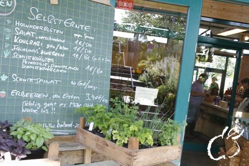Van mei tot oktober nodigt de grote natuurlijke tuin gasten uit om te blijven hangen en hun eigen producten te oogsten.