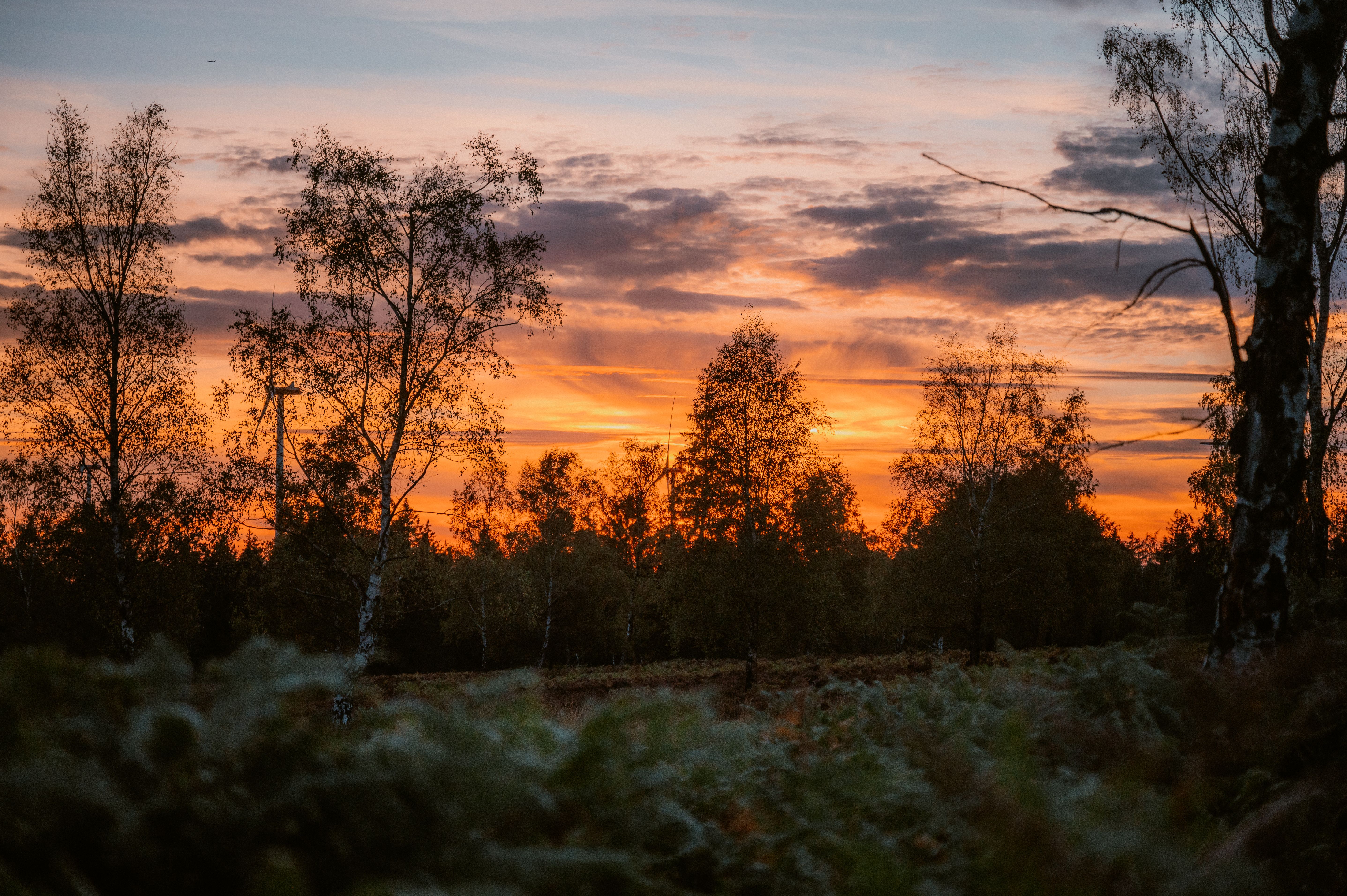 Sonnenaufgang auf der Struffeltroute