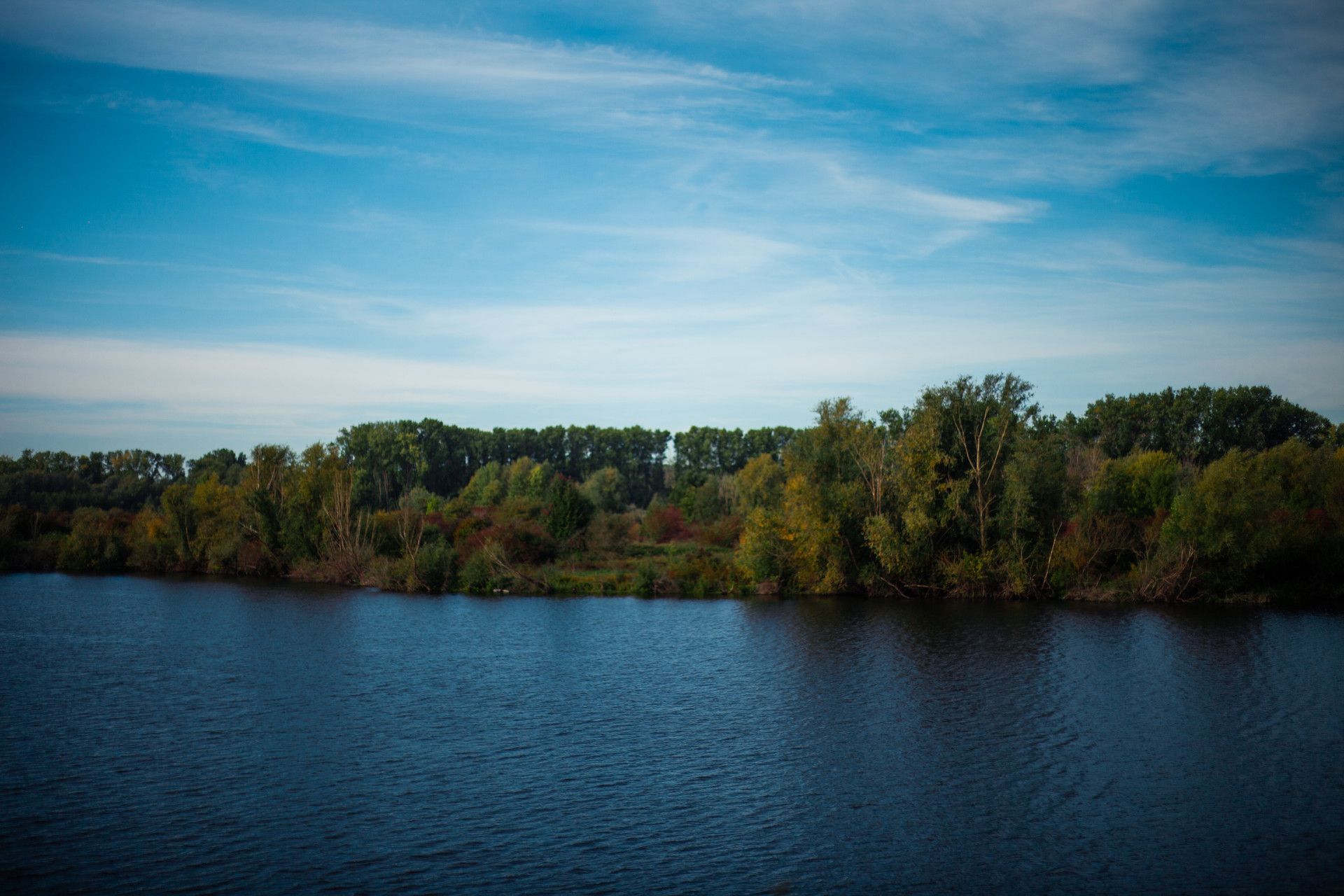 Natuurgebied Bislicher Insel aan de Nederrijn