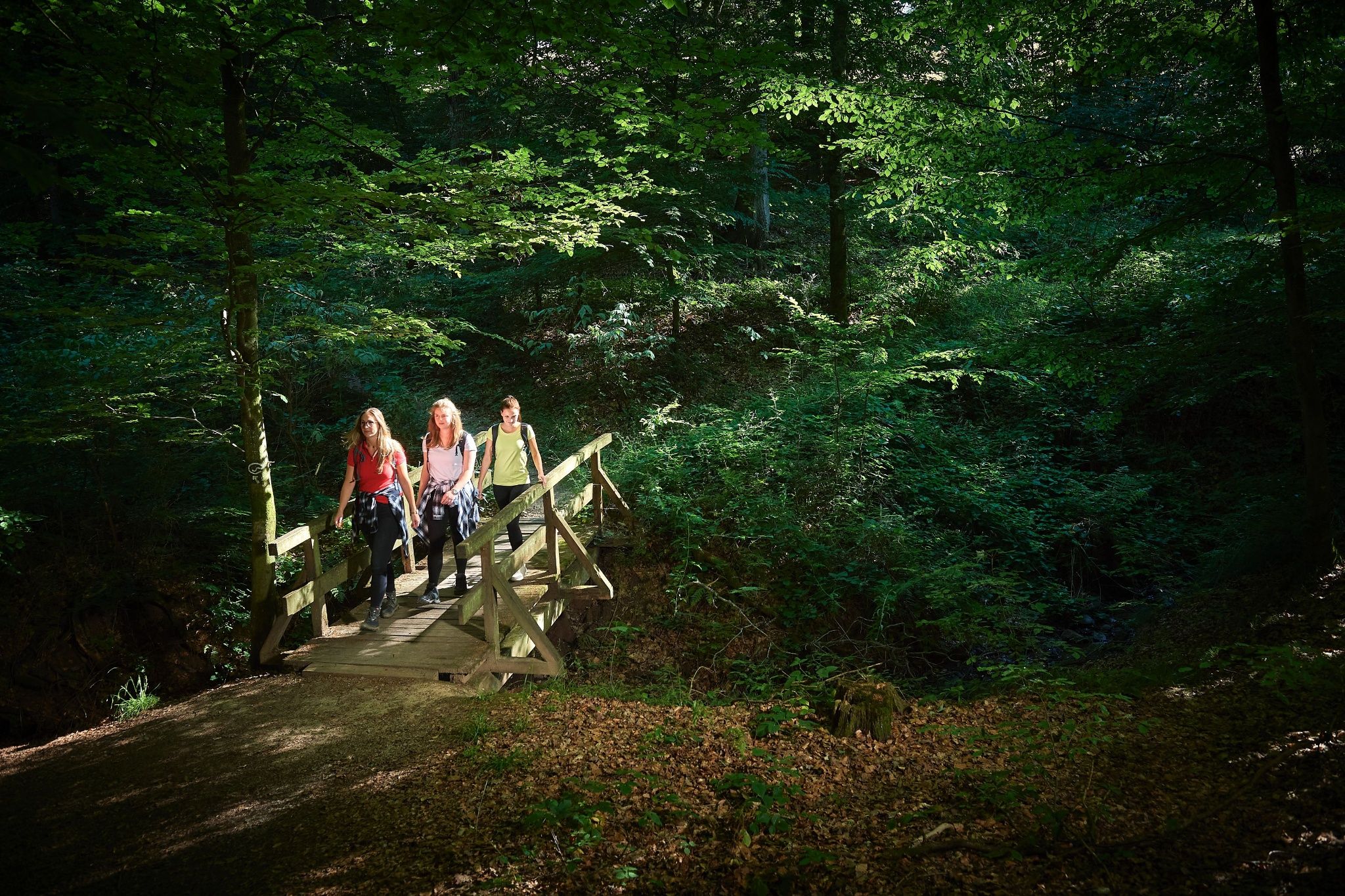 Brug bij de rustplaats in het Brombacher woud