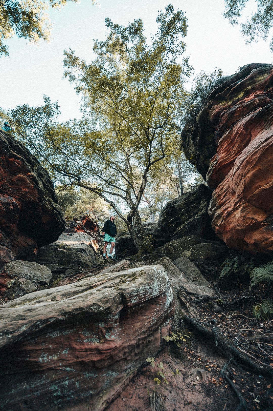 Naar pagina Kattenstenen