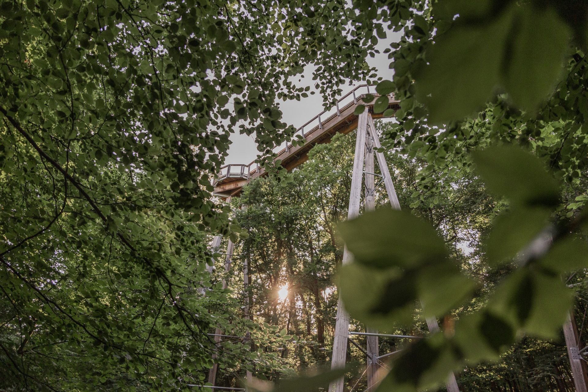 Baumwipfelpfad Panarbora, Bergisches Land