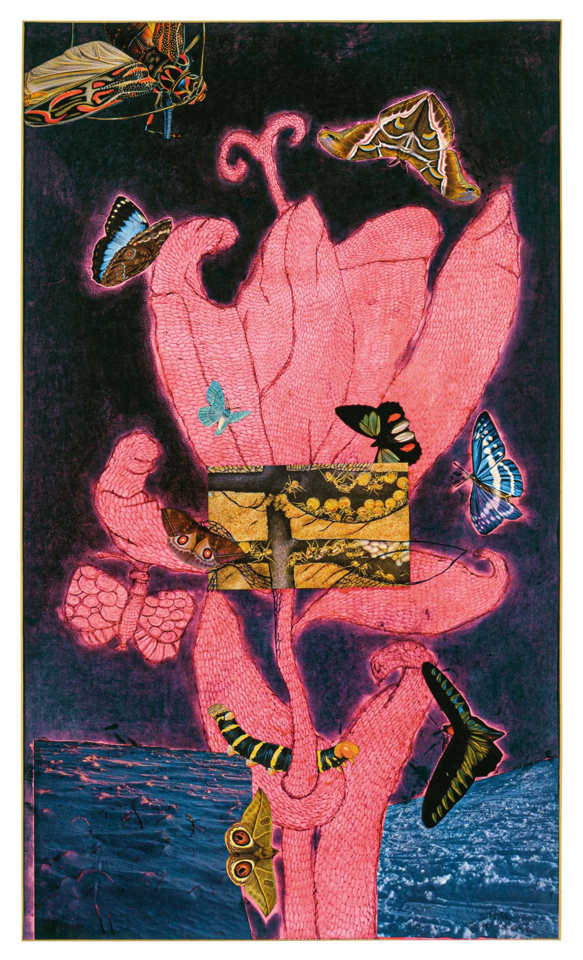 Yayoi Kusama, Zelfportret, 1972, collage, pastel, biros en inkt op papier, 74,4 × 44 cm, collectie van de kunstenaar