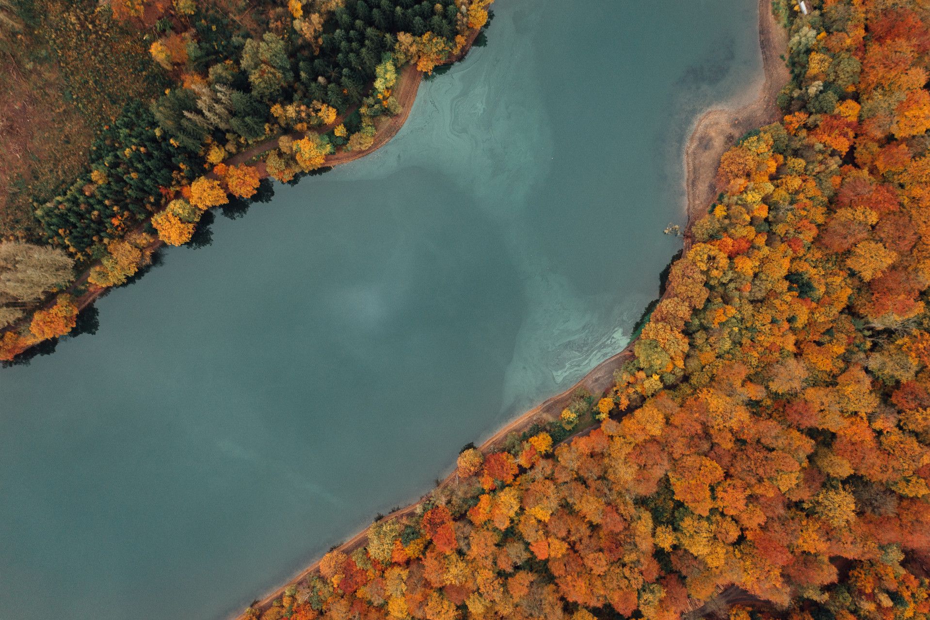 Lingesetalsperre en de oevers met bossen