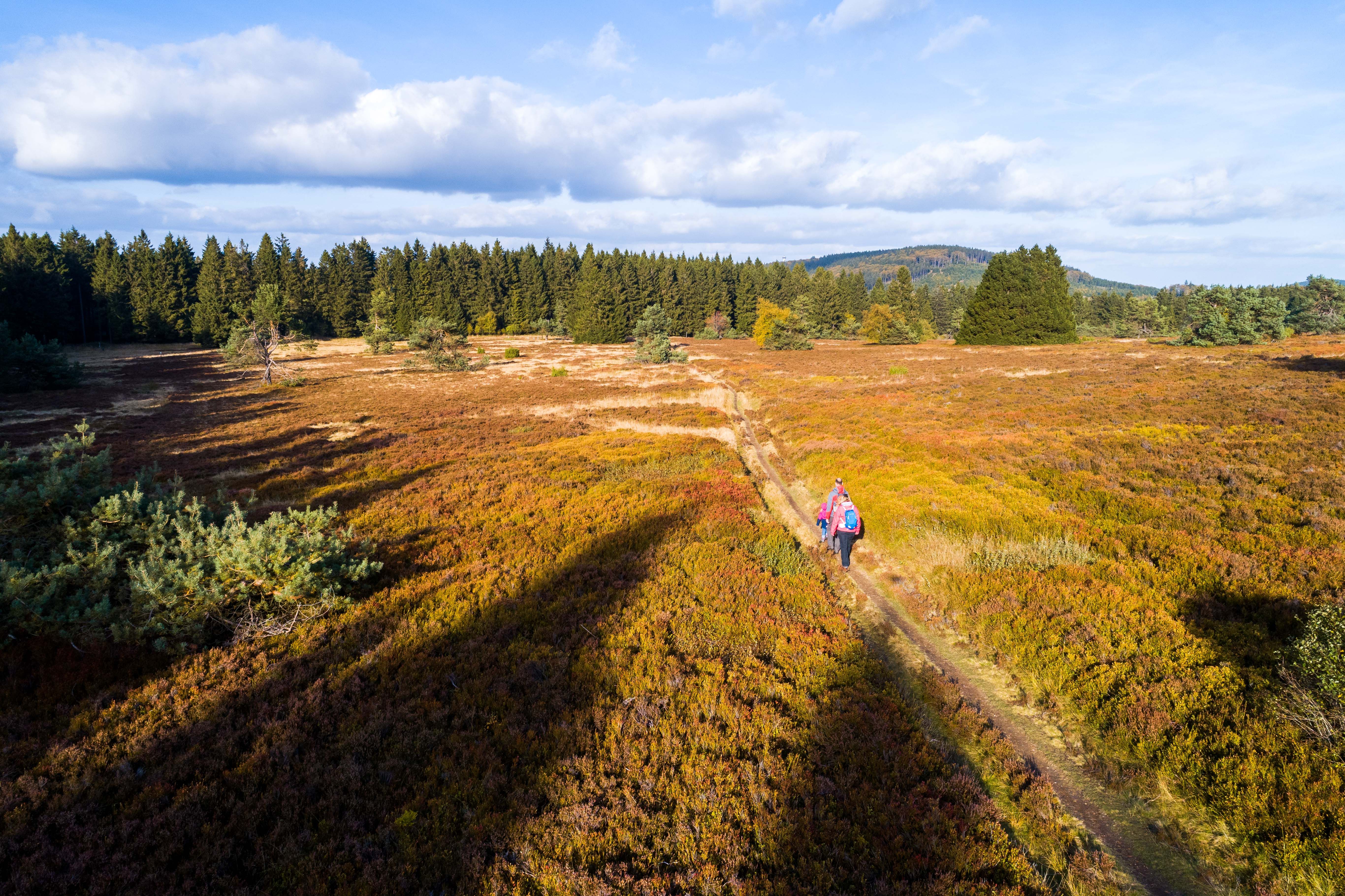 Op stap in het natuurreservaat "Neuer Hagen", waar zich de grootste hooggelegen heide van NRW bevindt