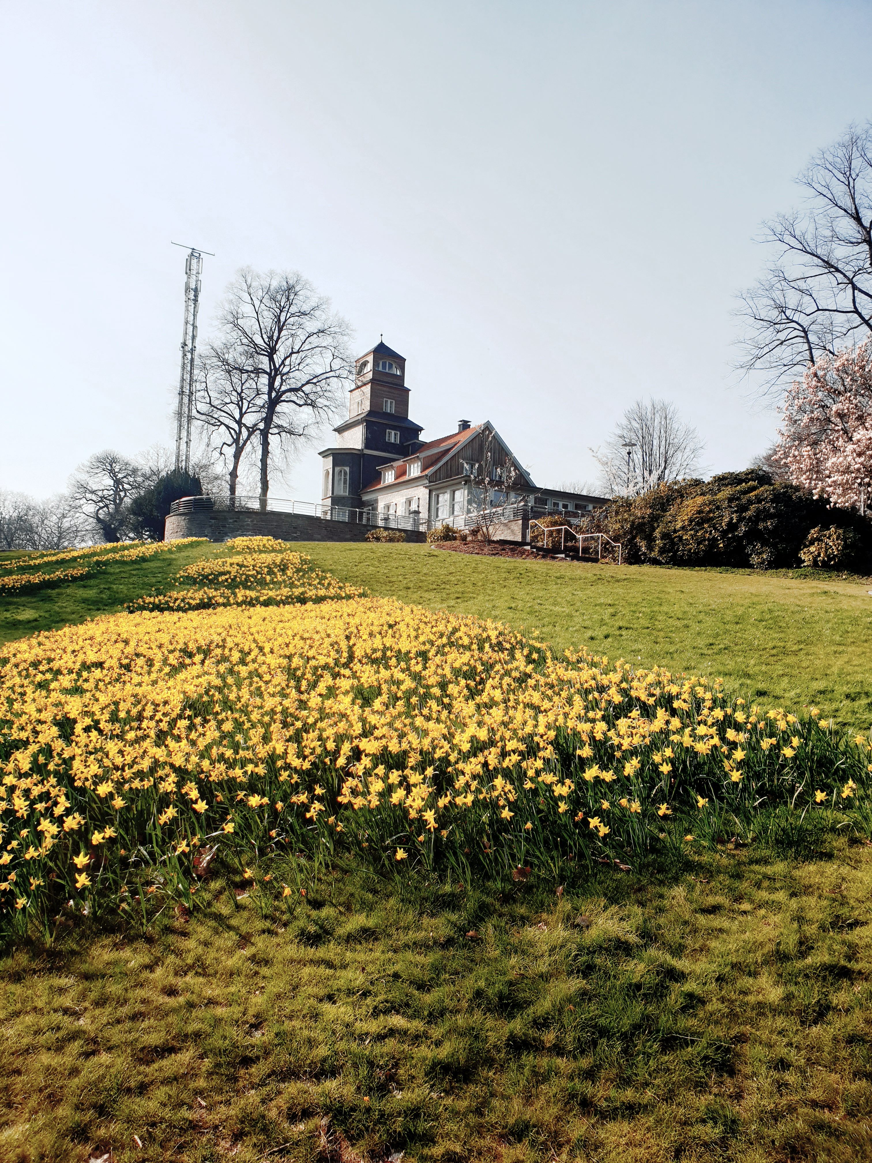 Er zijn talloze motieven rond de centrale torenterrassen die perfect zijn voor een souvenirfoto van een uitstapje naar het Nordpark