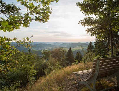 Blick über die Landschaft - Rothaarsteig-Spuren, © Rothaarsteigverein e.V., Klaus-Peter Kappest