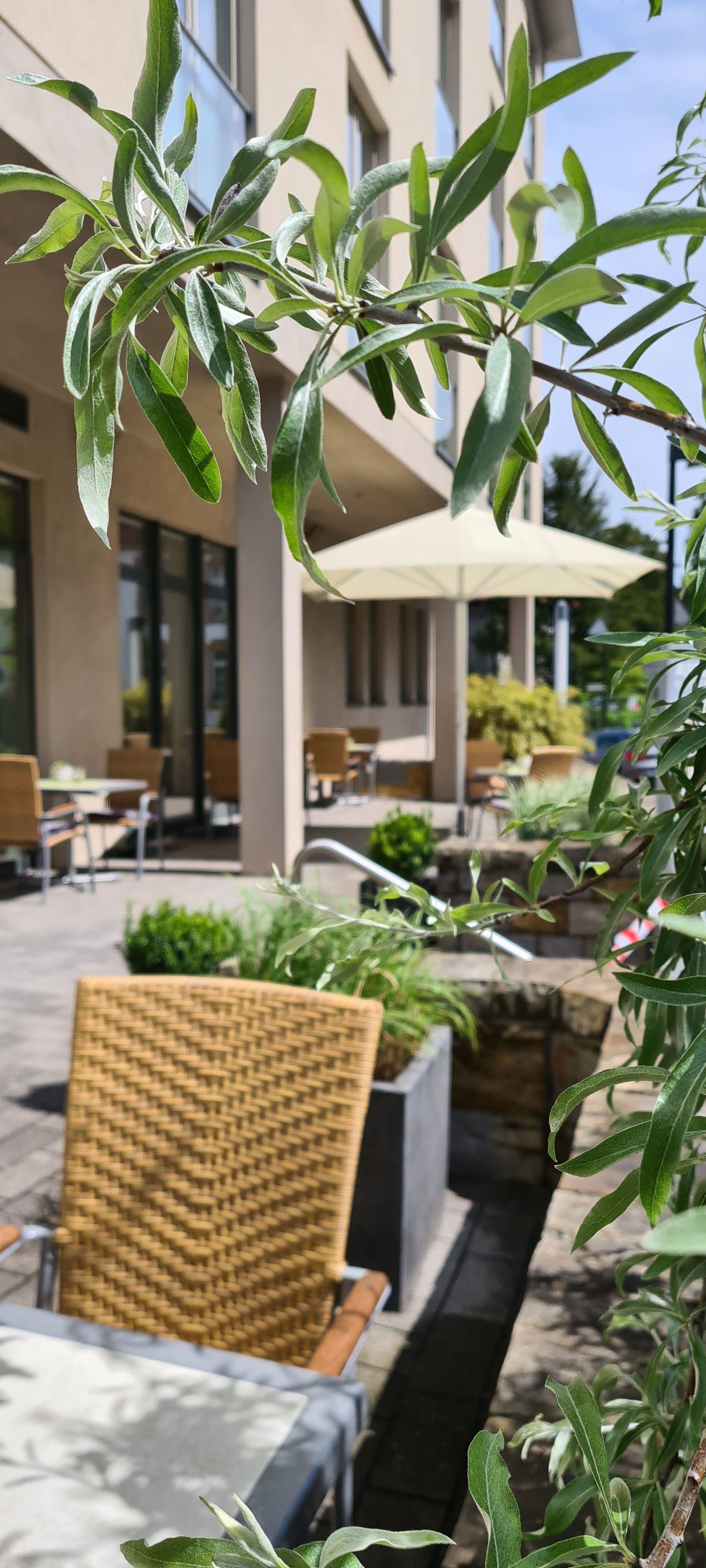 Hotel Aspethera - Terras