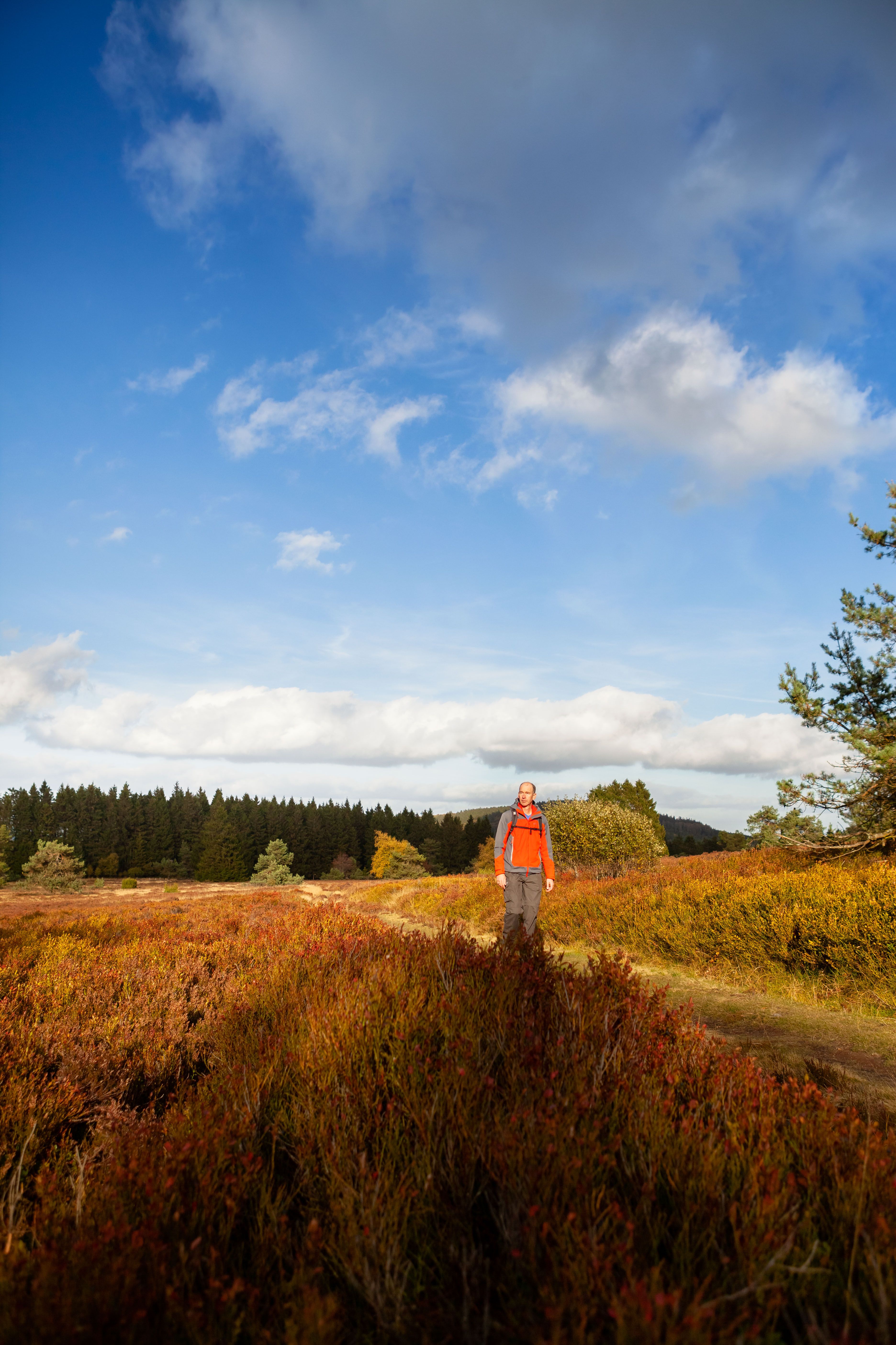 De grootste hooggelegen heide in Noordrijn-Westfalen in het natuurreservaat "Neuer Hagen" biedt natuurbelevenissen op een hoogte van meer dan 800 meter.