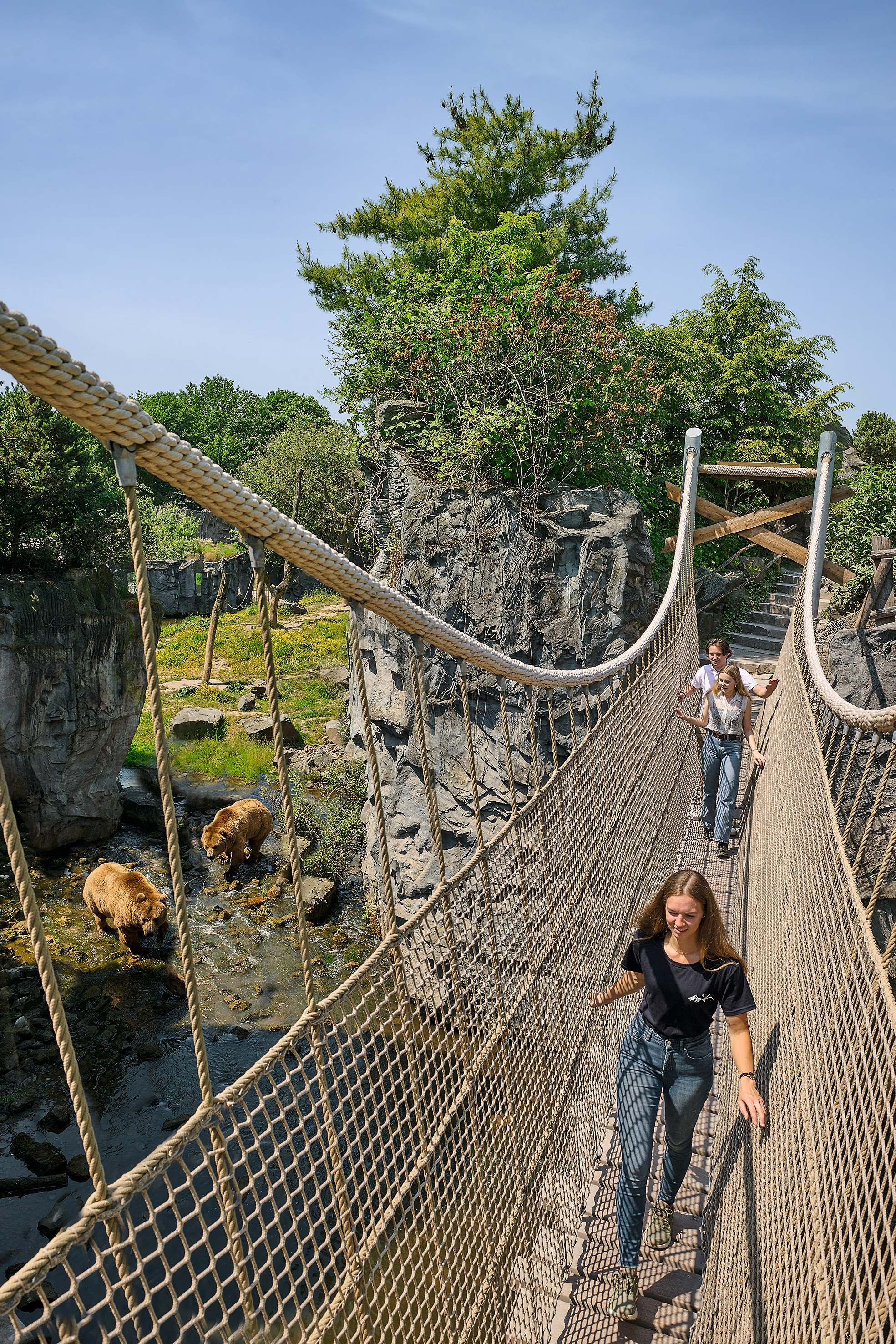 ZOOM-Erlebniswelt-Bruecke-Baeren