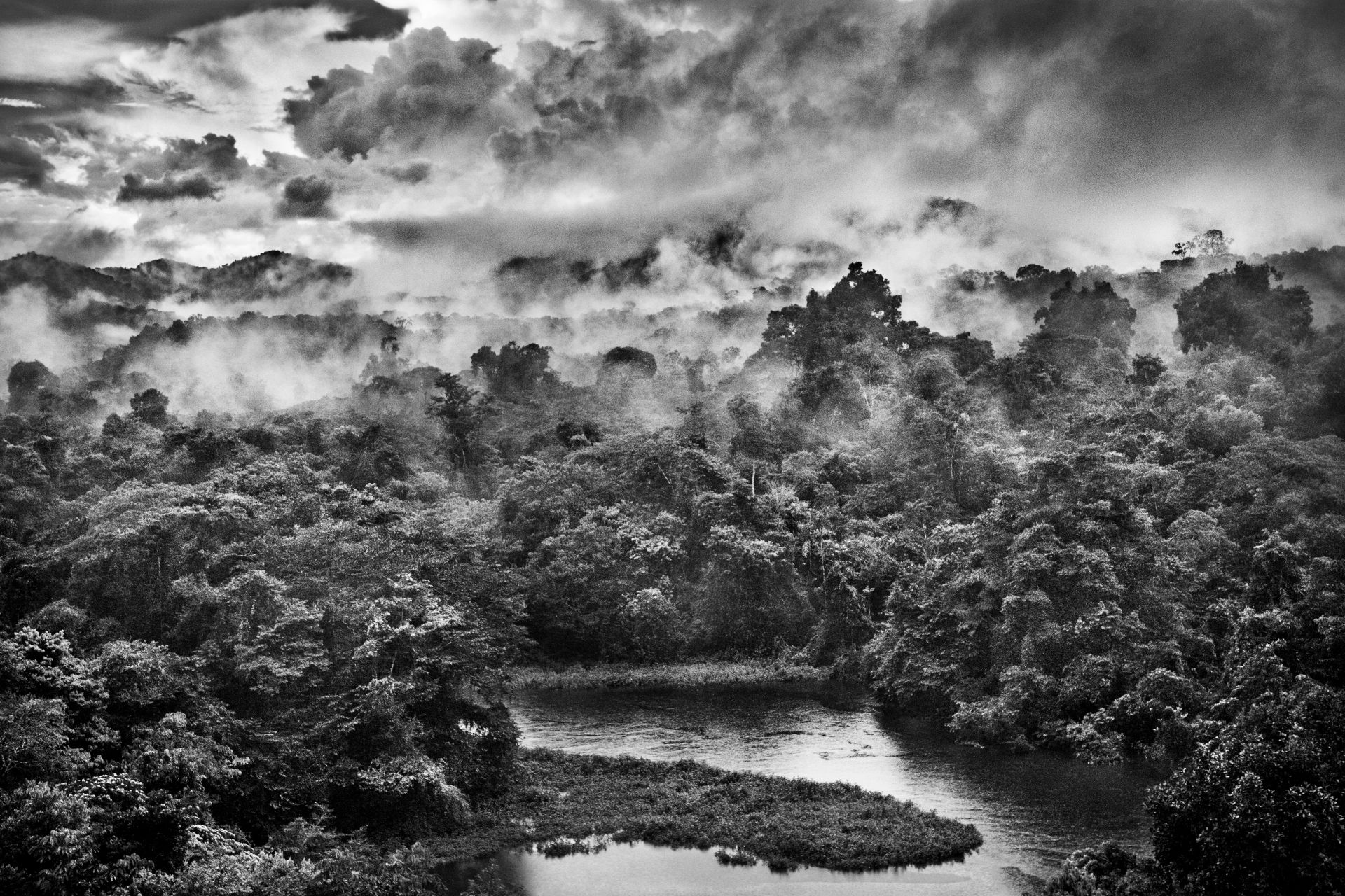 Salgado's foto's leggen de schoonheid van Amazonia vast