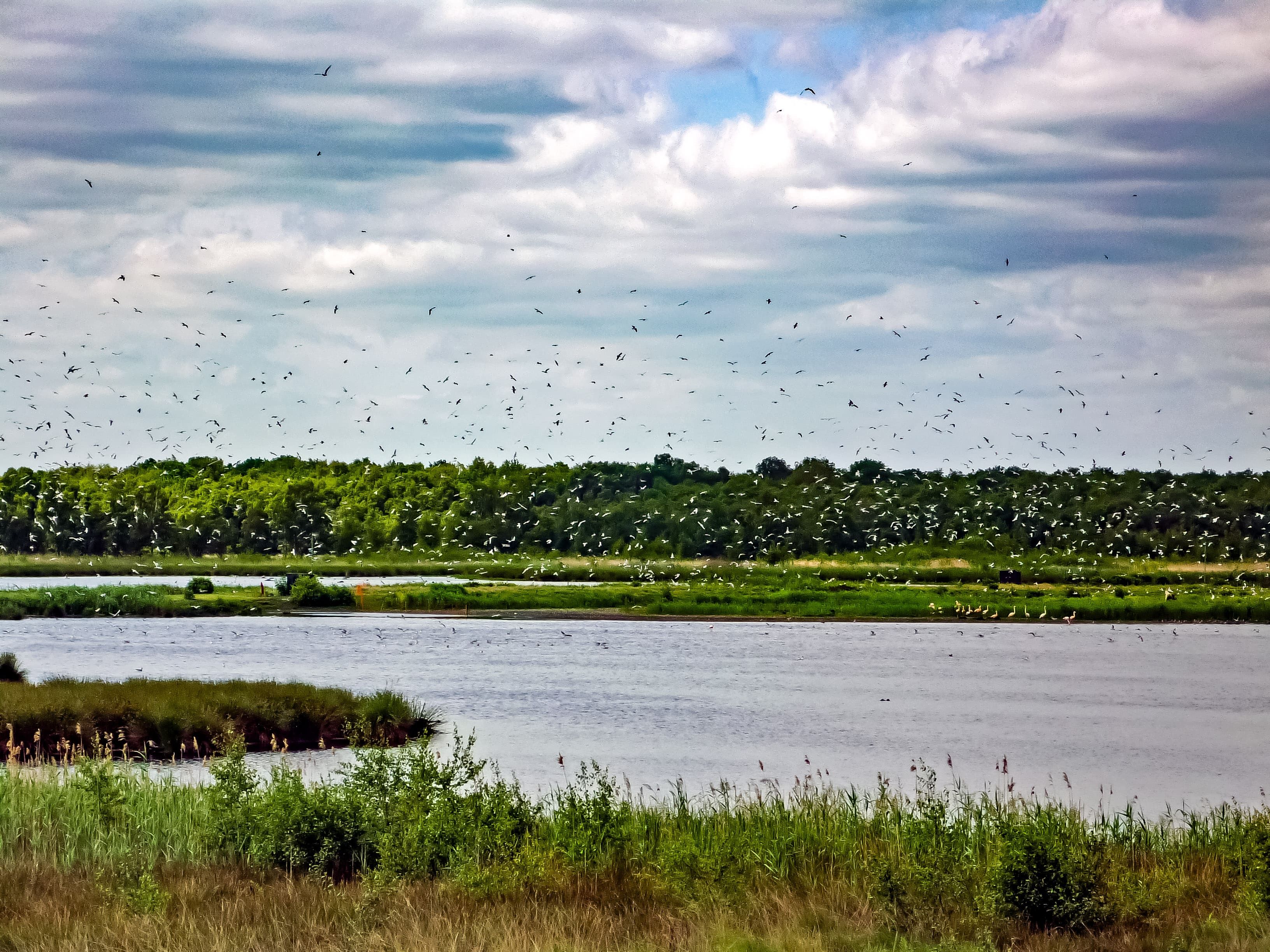 landschap-zwilbrocker-venn-vreden