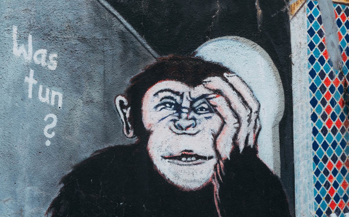 Denkende aap straatkunst Düsseldorf, © Johannes Höhn, artiest Klaus Klinger