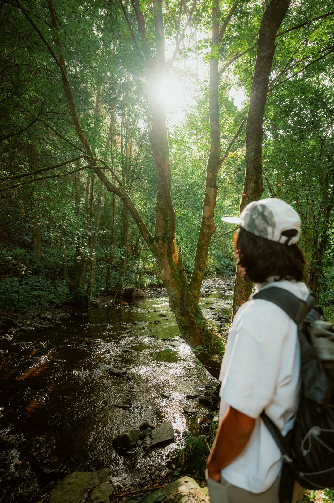 Rur bei Monschau (2) © Johannes Höhn, Tourismus NRW e.V.