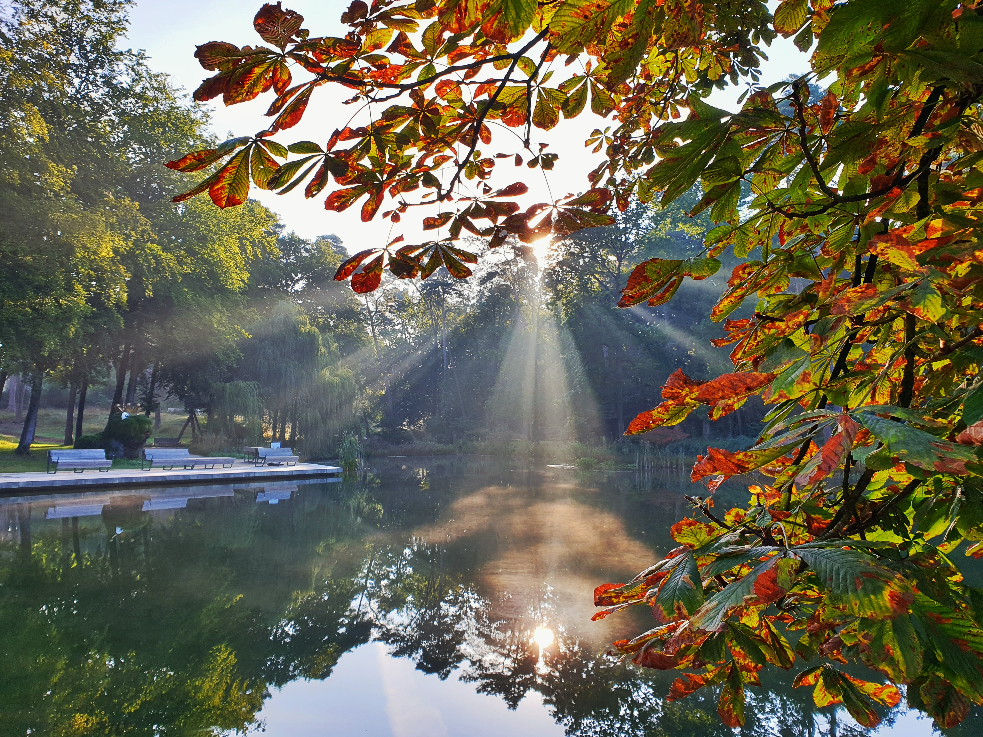 Het licht breekt door de boomtoppen en wordt weerspiegeld in het water van de Mersmann vijvers in het Bad Lippspringe Garden Show Park