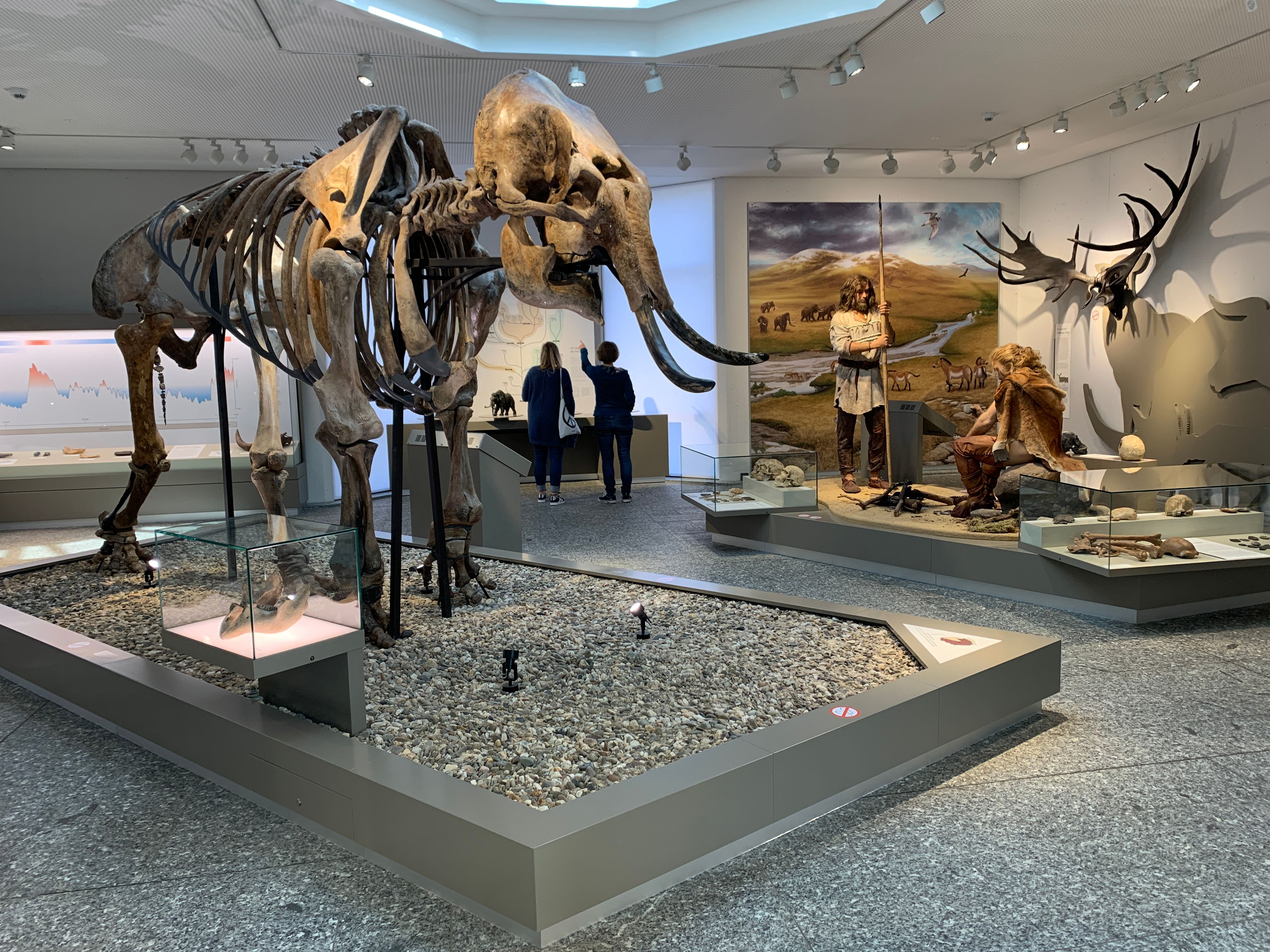 Natuurmuseum