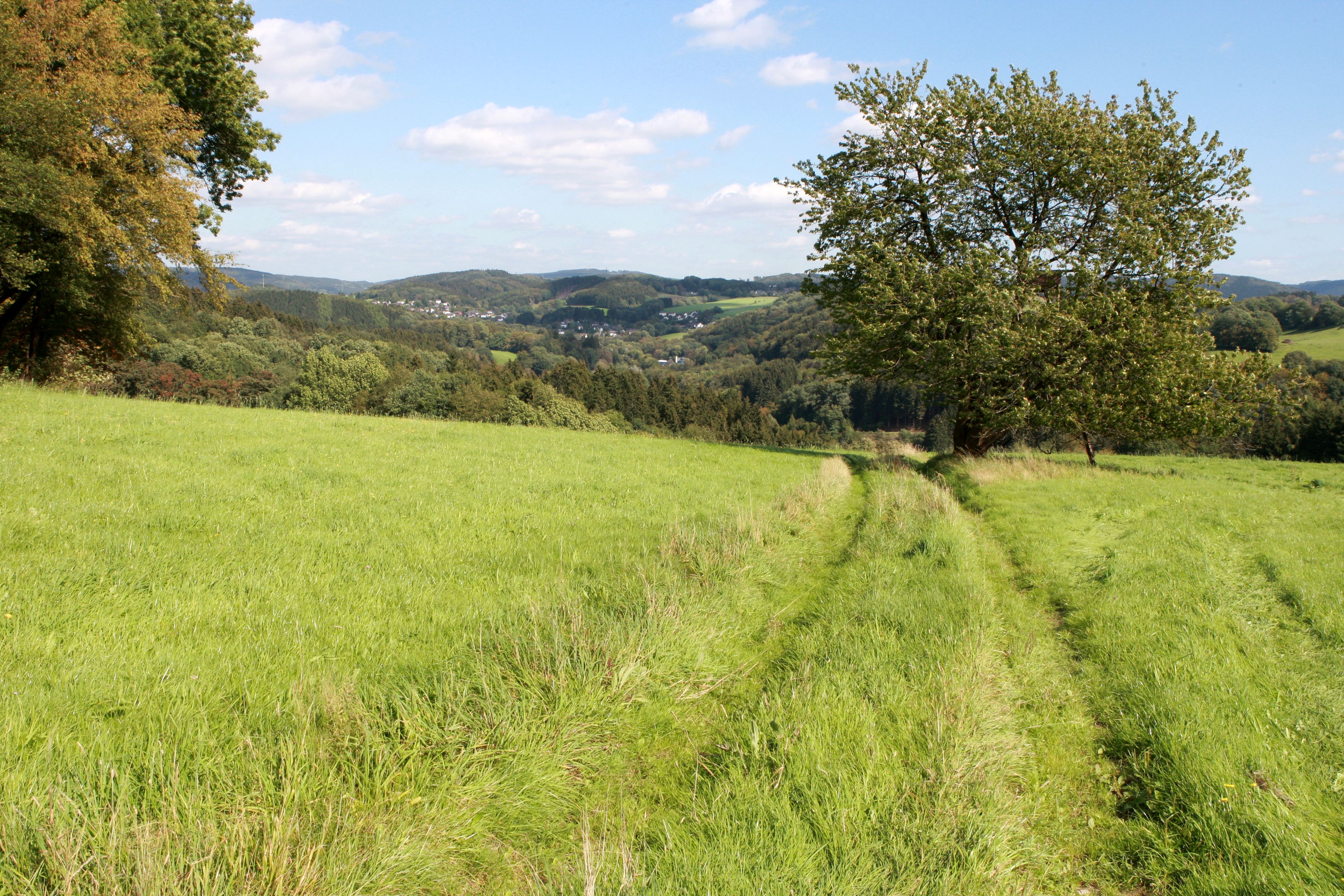 Bergischer Panoramasteig in de Leppevallei