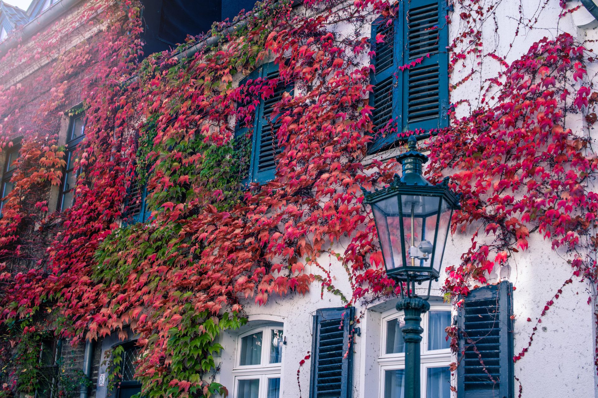 Bedburg Alt-Kaster, gevel